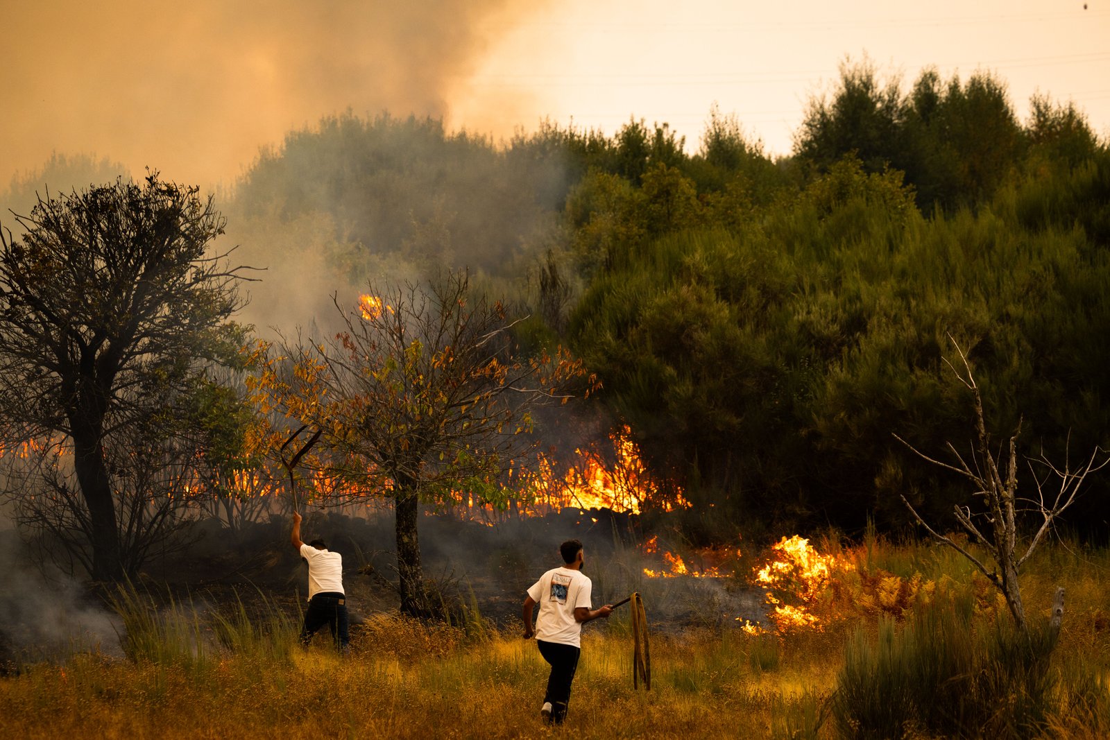 O fogo atingiu sobretudo as regiões Norte e Centro do país. Brasileiro, Carlos Eduardo morreu enquanto trabalhava e incêndios aconteciam. Crédito: Pedro Sarmento Costa/Lusa