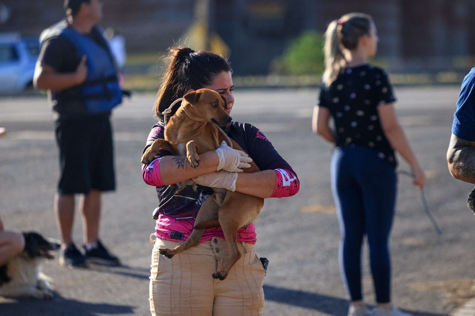 Mulher abraça cachorro em cenário de destruição no Sul (Arquivo). Crédito: Gustavo Mansur, Palácio Piratini