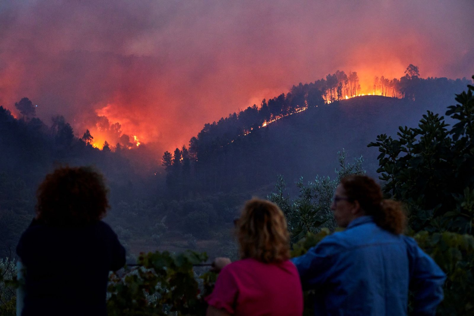 Pessoas observam o incêndio em Silvares, no concelho do Fundão, Castelo Branco. Crédito: Miguel Pereira da Silva, Lusa